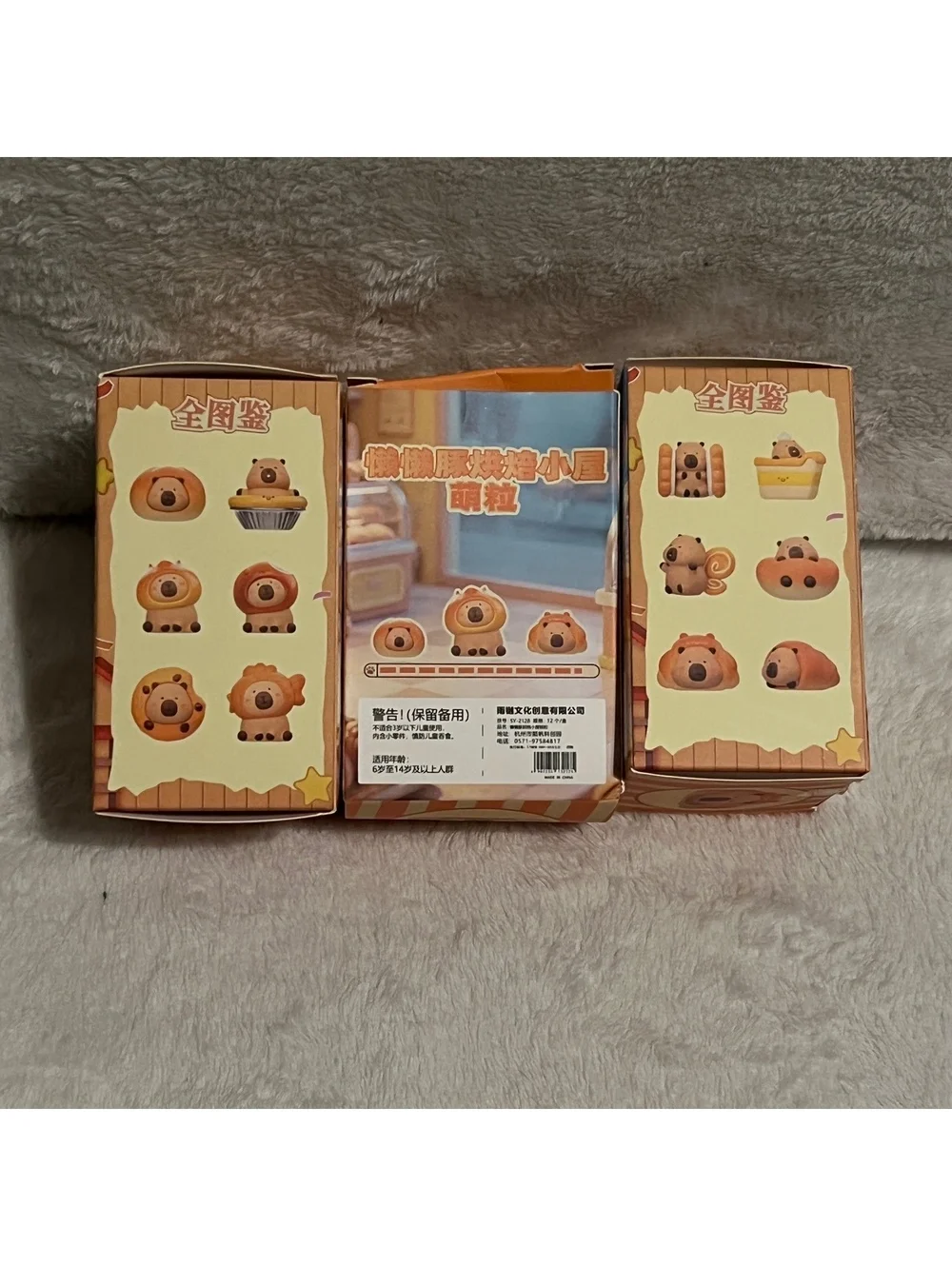 Costume Capybara Blind Boxes (3)